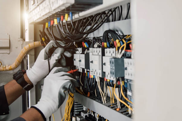 Best Local Electrician Companies  in Grand Meadow, MN